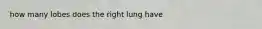 how many lobes does the right lung have