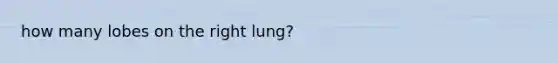 how many lobes on the right lung?