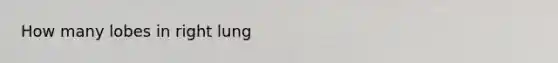 How many lobes in right lung