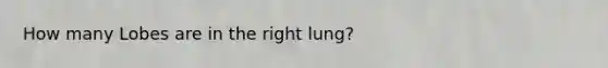 How many Lobes are in the right lung?