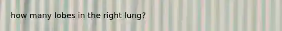 how many lobes in the right lung?