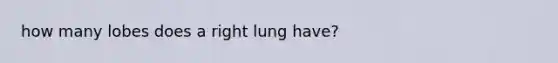 how many lobes does a right lung have?