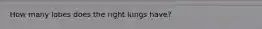 How many lobes does the right lungs have?