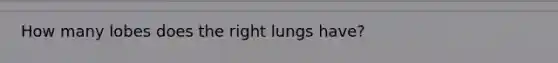 How many lobes does the right lungs have?