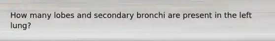 How many lobes and secondary bronchi are present in the left lung?