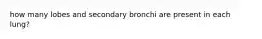 how many lobes and secondary bronchi are present in each lung?