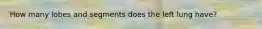 How many lobes and segments does the left lung have?