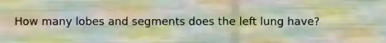 How many lobes and segments does the left lung have?