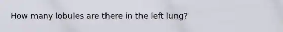 How many lobules are there in the left lung?