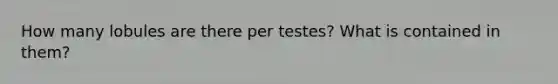 How many lobules are there per testes? What is contained in them?