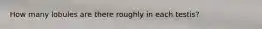 How many lobules are there roughly in each testis?