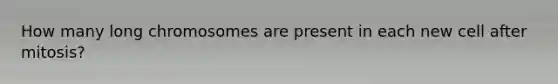 How many long chromosomes are present in each new cell after mitosis?