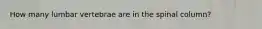 How many lumbar vertebrae are in the spinal column?