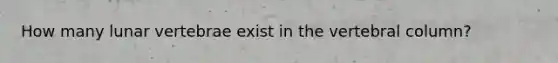 How many lunar vertebrae exist in the vertebral column?
