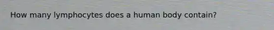 How many lymphocytes does a human body contain?