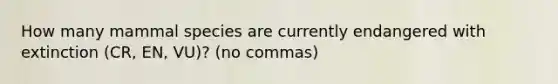 How many mammal species are currently endangered with extinction (CR, EN, VU)? (no commas)