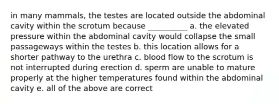 in many mammals, the testes are located outside the abdominal cavity within the scrotum because __________ a. the elevated pressure within the abdominal cavity would collapse the small passageways within the testes b. this location allows for a shorter pathway to the urethra c. blood flow to the scrotum is not interrupted during erection d. sperm are unable to mature properly at the higher temperatures found within the abdominal cavity e. all of the above are correct