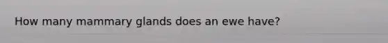 How many mammary glands does an ewe have?