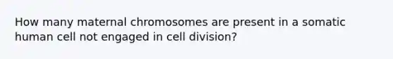 How many maternal chromosomes are present in a somatic human cell not engaged in cell division?