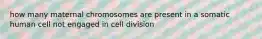 how many maternal chromosomes are present in a somatic human cell not engaged in cell division