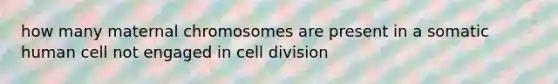 how many maternal chromosomes are present in a somatic human cell not engaged in cell division