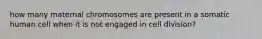 how many maternal chromosomes are present in a somatic human cell when it is not engaged in cell division?