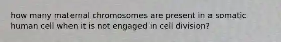 how many maternal chromosomes are present in a somatic human cell when it is not engaged in <a href='https://www.questionai.com/knowledge/kjHVAH8Me4-cell-division' class='anchor-knowledge'>cell division</a>?