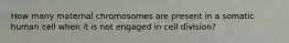 How many maternal chromosomes are present in a somatic human cell when it is not engaged in cell division?