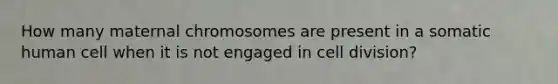 How many maternal chromosomes are present in a somatic human cell when it is not engaged in cell division?