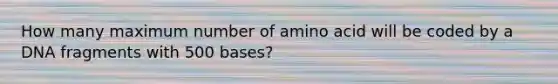 How many maximum number of amino acid will be coded by a DNA fragments with 500 bases?