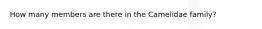How many members are there in the Camelidae family?