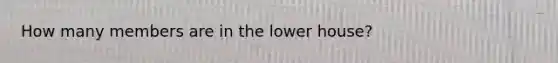 How many members are in the lower house?