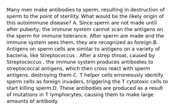 Many men make antibodies to sperm, resulting in destruction of sperm to the point of sterility. What would be the likely origin of this autoimmune disease? A. Since sperm are not made until after puberty, the immune system cannot scan the antigens on the sperm for immune tolerance. After sperm are made and the immune system sees them, they are recognized as foreign.B. Antigens on sperm cells are similar to antigens on a variety of bacteria, like Streptococcus . After a strep throat, caused by Streptococcus , the immune system produces antibodies to streptococcal antigens, which then cross react with sperm antigens, destroying them.C. T helper cells erroneously identify sperm cells as foreign invaders, triggering the T cytotoxic cells to start killing sperm.D. These antibodies are produced as a result of mutations in T lymphocytes, causing them to make large amounts of antibody.