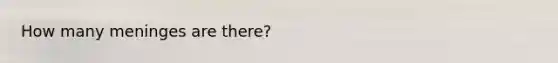 How many meninges are there?