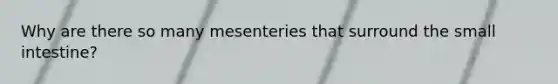 Why are there so many mesenteries that surround the small intestine?