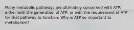 Many metabolic pathways are ultimately concerned with ATP; either with the generation of ATP, or with the requirement of ATP for that pathway to function. Why is ATP so important to metabolism?