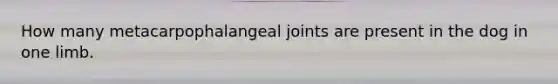 How many metacarpophalangeal joints are present in the dog in one limb.