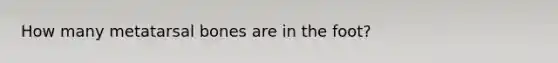 How many metatarsal bones are in the foot?