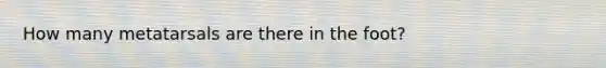 How many metatarsals are there in the foot?