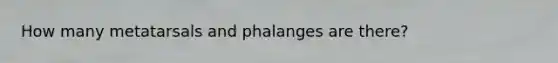 How many metatarsals and phalanges are there?