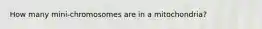 How many mini-chromosomes are in a mitochondria?