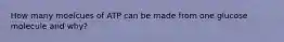How many moelcues of ATP can be made from one glucose molecule and why?