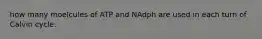 how many moelcules of ATP and NAdph are used in each turn of Calvin cycle.