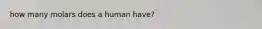 how many molars does a human have?