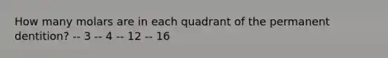 How many molars are in each quadrant of the permanent dentition? -- 3 -- 4 -- 12 -- 16