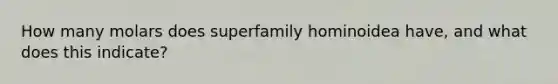 How many molars does superfamily hominoidea have, and what does this indicate?