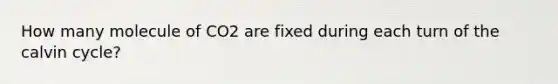 How many molecule of CO2 are fixed during each turn of the calvin cycle?