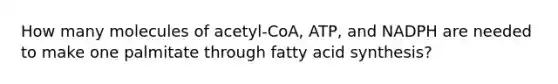 How many molecules of acetyl-CoA, ATP, and NADPH are needed to make one palmitate through fatty acid synthesis?