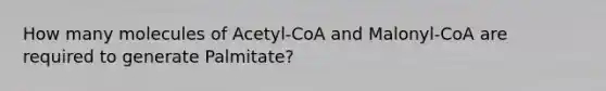 How many molecules of Acetyl-CoA and Malonyl-CoA are required to generate Palmitate?