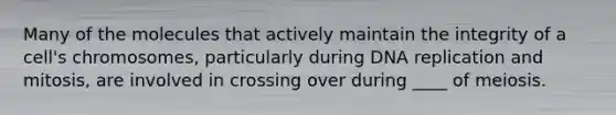 ​Many of the molecules that actively maintain the integrity of a cell's chromosomes, particularly during DNA replication and mitosis, are involved in crossing over during ____ of meiosis.